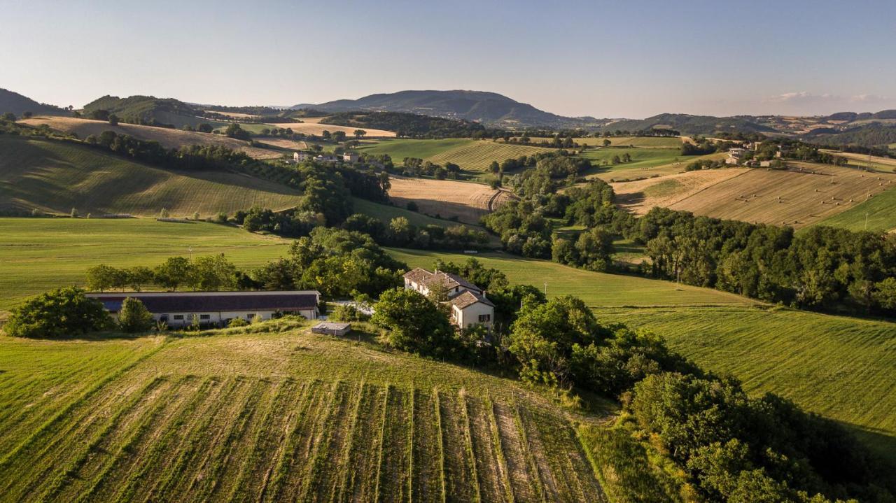 Agriturismo Podere Coldifico Sassoferrato المظهر الخارجي الصورة