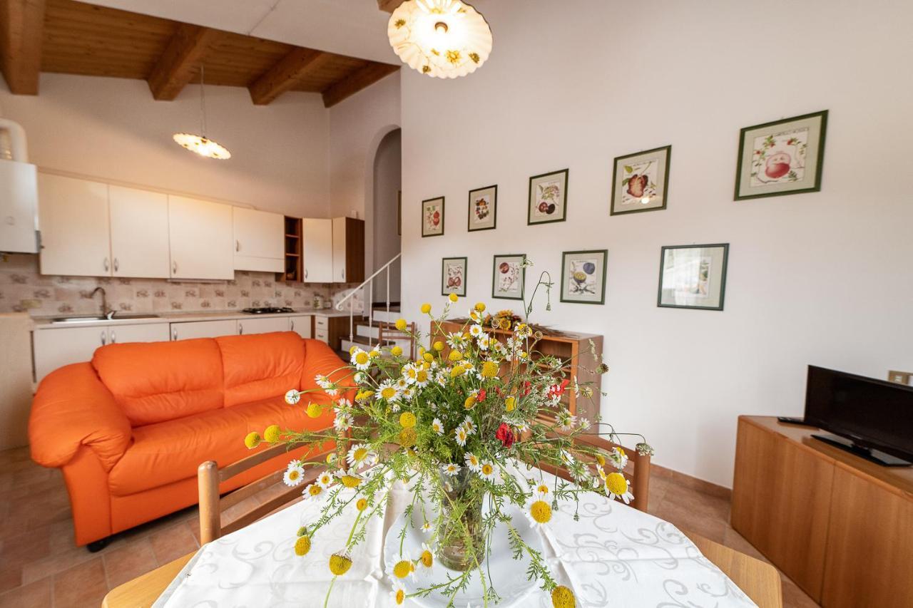 Agriturismo Podere Coldifico Sassoferrato المظهر الخارجي الصورة
