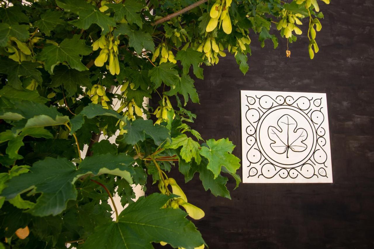 Agriturismo Podere Coldifico Sassoferrato المظهر الخارجي الصورة