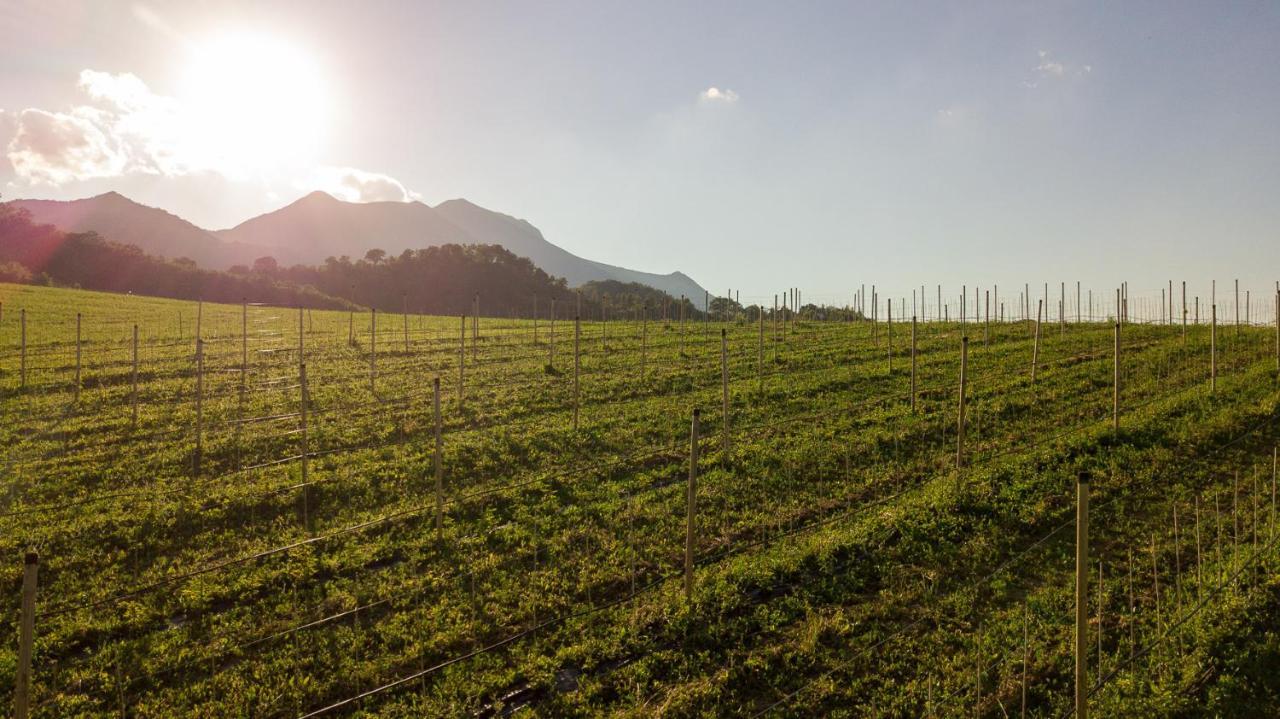 Agriturismo Podere Coldifico Sassoferrato المظهر الخارجي الصورة